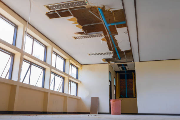 Best Basement water damage restoration  in Swoyersville, PA