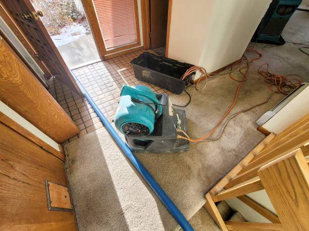  Swoyersville, PA Water damage restoration Pros