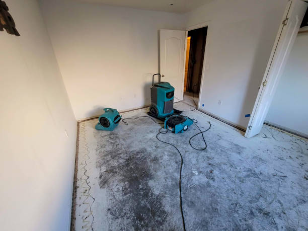 Best Mold removal after water damage  in Swoyersville, PA
