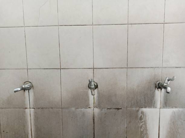 Best Local water damage restoration  in Swoyersville, PA