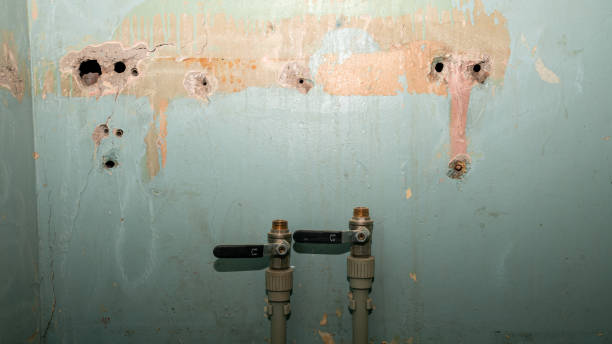 Best Carpet water damage restoration  in Swoyersville, PA