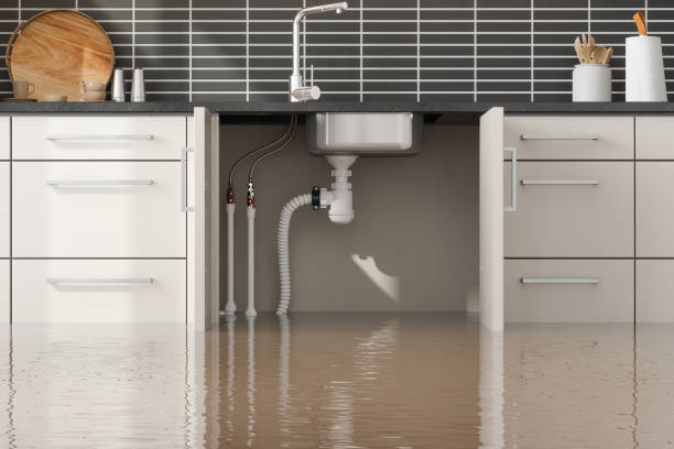 Best Water damage restoration process  in Swoyersville, PA