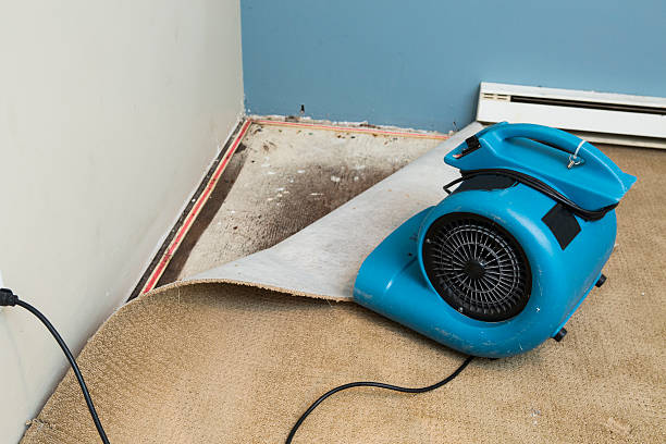 Best Flooded house restoration  in Swoyersville, PA